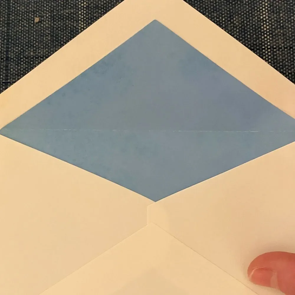 10 White and Blue Envelopes